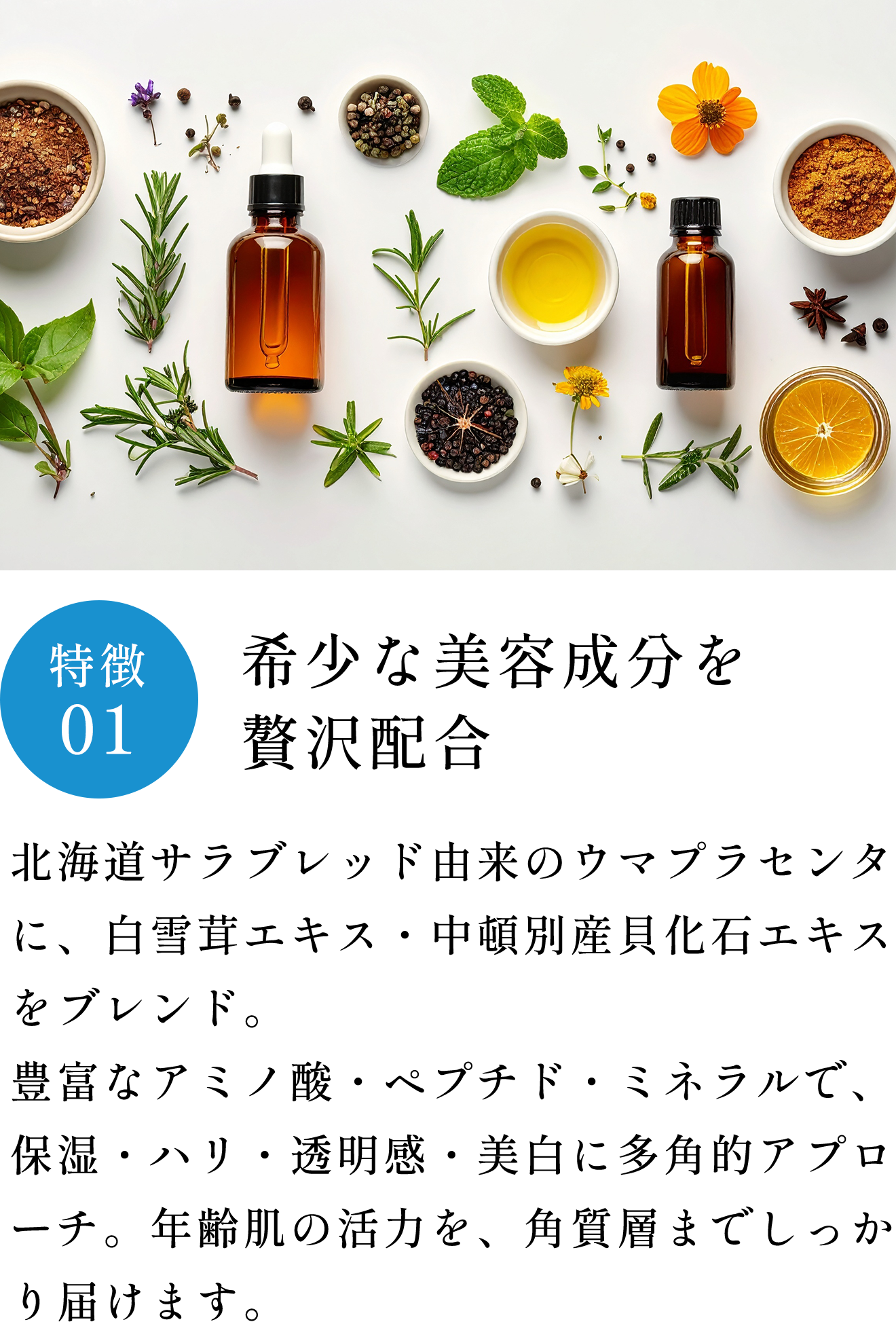 特徴01 希少な美容成分を贅沢配合